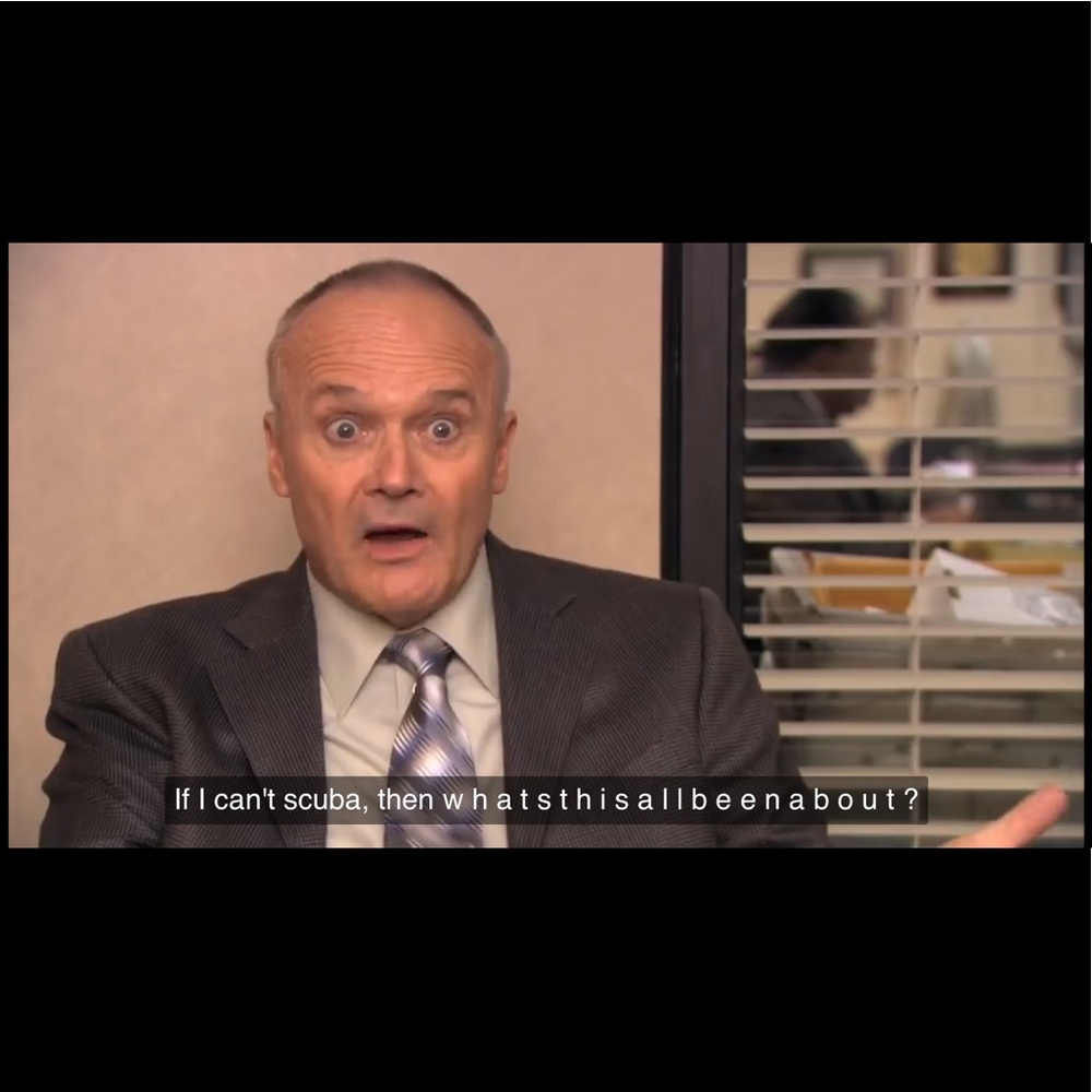 Meet your Posher, Maddie